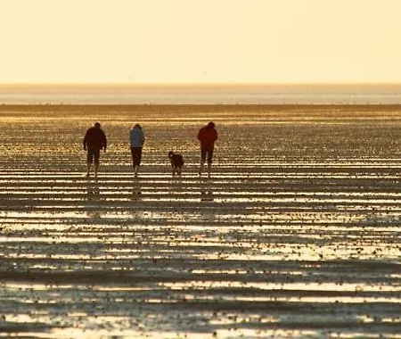 Direkt Am Deich De Wittling Apartmán