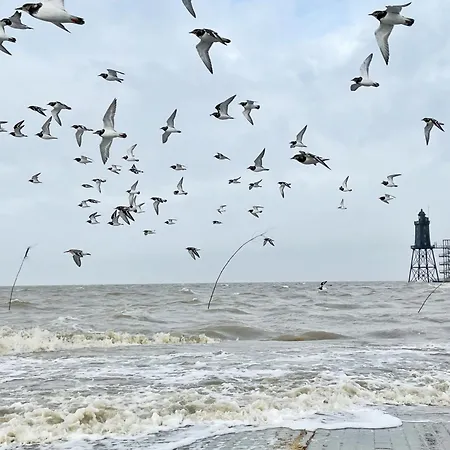 Direkt Am Deich De Wittling *