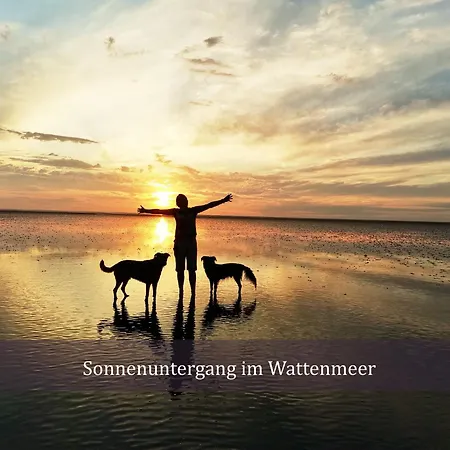 Direkt Am Deich De Wittling *